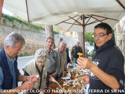 Escursione Micologica a Fungaia