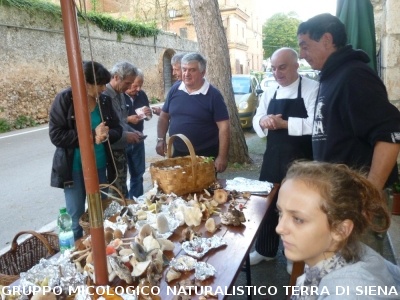 Escursione Micologica a Fungaia