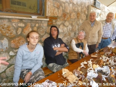 Escursione Micologica a Fungaia