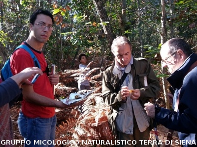 Mostra Micologica a Monticiano