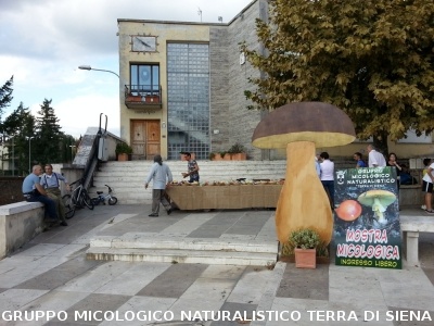 Mostra Micologica a Monticiano