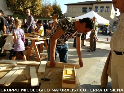 Mostra Micologica a Monticiano