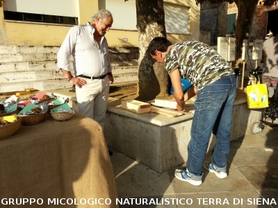 Mostra Micologica a Monticiano