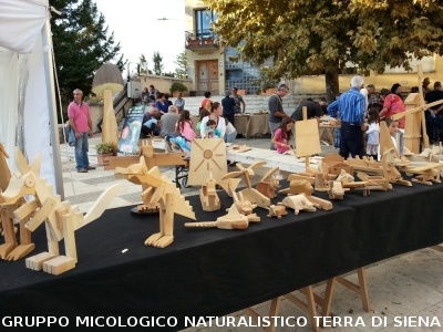 Mostra Micologica a Monticiano