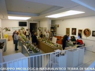 XVII Mostra Micologica Senese