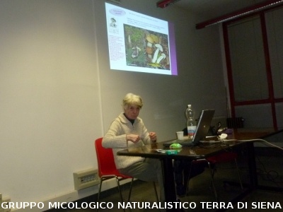 Corsi di aggiornamento per Soci