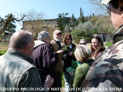 Raccolta delle erbe di campo del 29.3