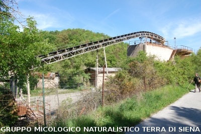 Escursione naturalistica a Badia di Coltibuono del 10.5 