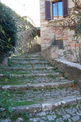 Escursione naturalistica a Castiglion d'Orcia del 28.9