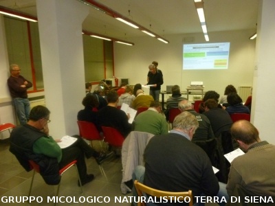 Corsi Regionali per Ricercatori funghi