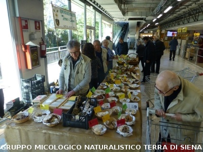 Mostra Micologica presso la COOP
