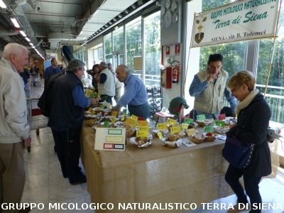Mostra Micologica presso la COOP