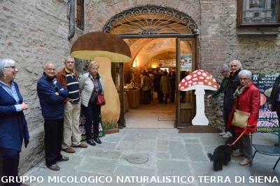 XVIII Mostra Micologica Senese