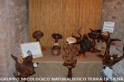 XVIII Mostra Micologica Senese