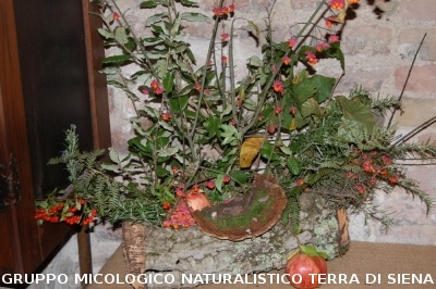 XVIII Mostra Micologica Senese