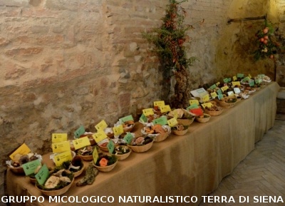 XVIII Mostra Micologica Senese