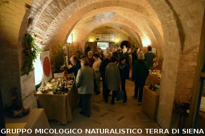 XVIII Mostra Micologica Senese