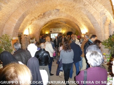 XVIII Mostra Micologica Senese