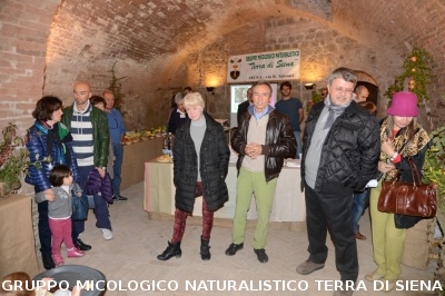 XVIII Mostra Micologica Senese