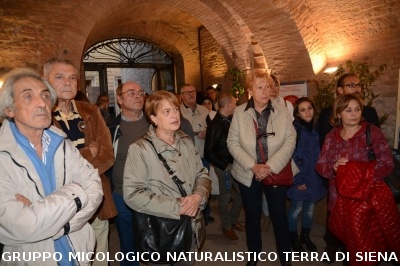 XVIII Mostra Micologica Senese