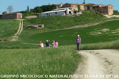 Le crete da Mucigliani a Leonina