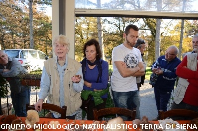 Raccolta funghi a Pentolina e pranzo a San Galgano