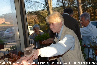 Raccolta funghi a Pentolina e pranzo a San Galgano