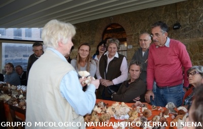 Raccolta funghi a Pentolina e pranzo a San Galgano