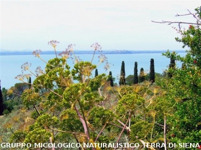 Escursione naturalistica