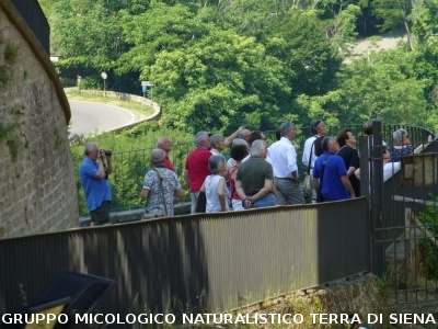 Sorano e Lago di Bolsena