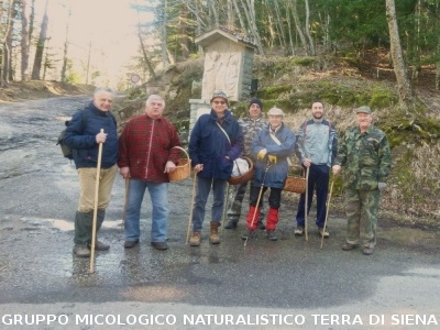 A Vallombrosa alla ricerca del dormiente