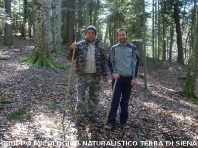 A Vallombrosa alla ricerca del dormiente