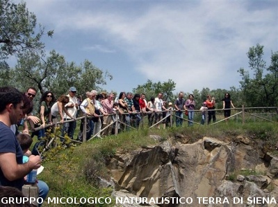 Escursione naturalistica