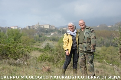 Sul Monte Amiata alla ricerrca del prugnolo