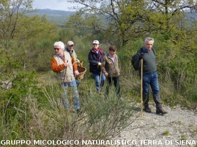 Sul Monte Amiata alla ricerrca del prugnolo