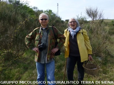 Sul Monte Amiata alla ricerrca del prugnolo