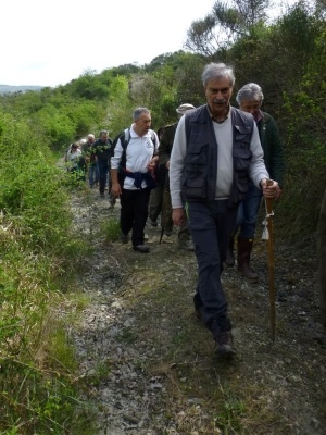 Sul Monte Amiata alla ricerrca del prugnolo
