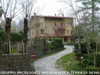 Sul Monte Amiata alla ricerrca del prugnolo
