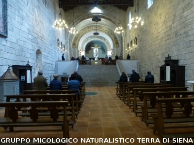 Sul Monte Amiata alla ricerrca del prugnolo