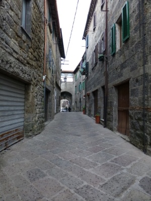 Sul Monte Amiata alla ricerrca del prugnolo