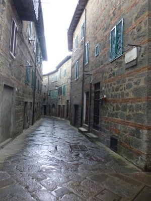 Sul Monte Amiata alla ricerrca del prugnolo