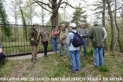 Sul Monte Amiata alla ricerrca del prugnolo