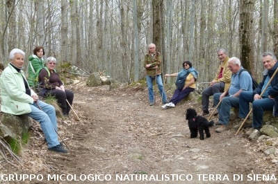 Sul Monte Amiata alla ricerrca del prugnolo