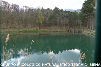 Sul Monte Amiata alla ricerrca del prugnolo
