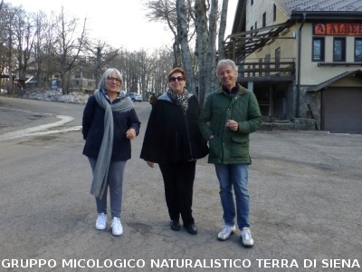 Sul Monte Amiata alla ricerrca del prugnolo