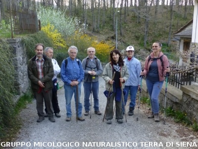 Sul Monte Amiata alla ricerrca del prugnolo