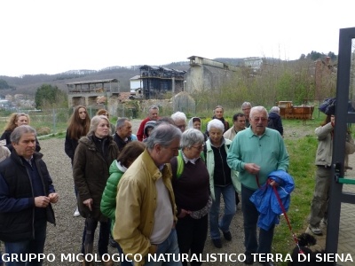Sul Monte Amiata alla ricerrca del prugnolo