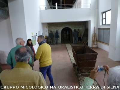 Sul Monte Amiata alla ricerrca del prugnolo