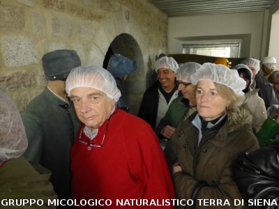 Sul Monte Amiata alla ricerrca del prugnolo
