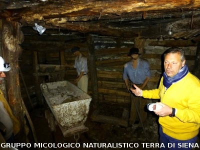 Sul Monte Amiata alla ricerrca del prugnolo